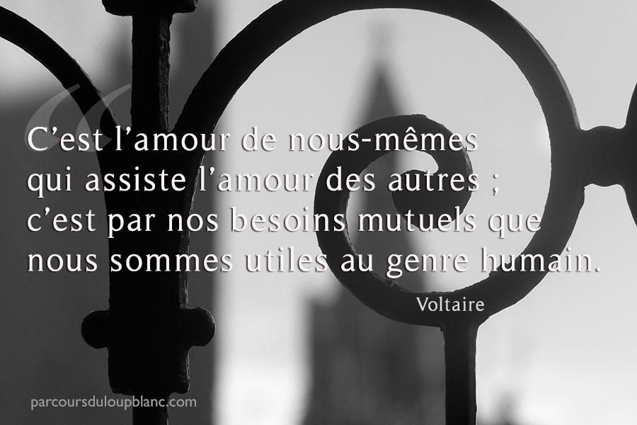 Paris - Voltaire-l-amour-de-nous-memes-assiste-l-amour-des-autres