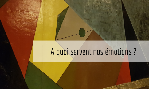 A quoi servent nos émotions ?