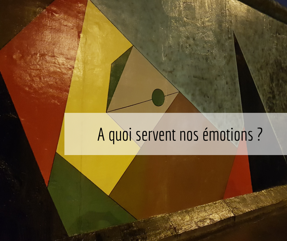A quoi servent nos émotions - vignette